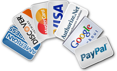 chennai-astrovision-payment payment